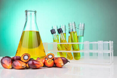 Screening and quality control of palm oil with NIR spectroscopy