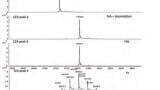 Strategies for the Characterisation of Biopharmaceuticals