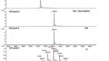 Strategies for the Characterisation of Biopharmaceuticals