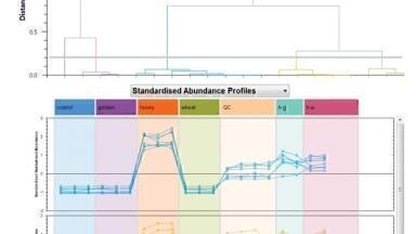 Streamlining the Use of High Resolution Mass Spectrometry Data to Fingerprint Adulterated Honey using Multivariate Data Analysis to Facilitate Food Product Quality Control