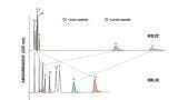 Electrostatic Effects in Hydrophilic Interaction Chromatography (HILIC): A Brief Review