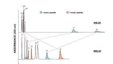 Electrostatic Effects in Hydrophilic Interaction Chromatography (HILIC): A Brief Review