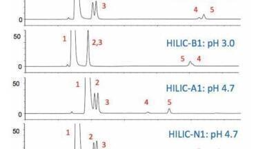 A Simple, Generally Applicable HILIC Method Development Platform Based Upon Selectivity