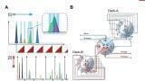 Enhancing 2D-LC Analysis using the Multiple Heart-Cutting Technology
