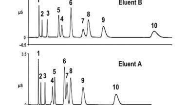 Application of Hyperbranched Stationary Phases to Ion Chromatography