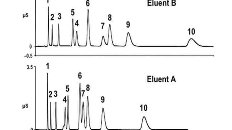 Application of Hyperbranched Stationary Phases to Ion Chromatography