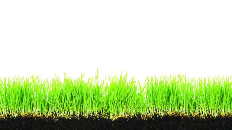 What Lies Beneath – New Soil Health Analysis Service for Landowners Launched During the UN International Year of Soils