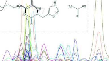 Adding more Power to your GC-MS Analysis through Deconvolution