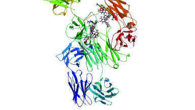 Improving Quantification of Protein Therapeutics by Standardising the Sample Preparation Approach to LC-MS/MS Analysis: High-sensitivity Bioanalysis of Infliximab, and Total Antibody Quantification