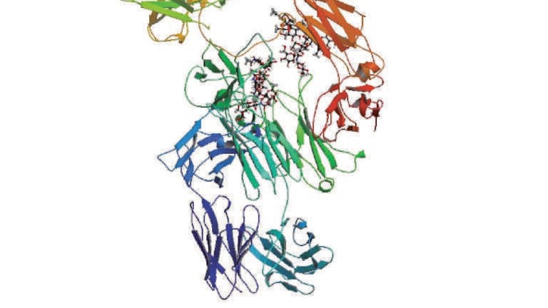 Improving Quantification of Protein Therapeutics by Standardising the Sample Preparation Approach to LC-MS/MS Analysis: High-sensitivity Bioanalysis of Infliximab, and Total Antibody Quantification