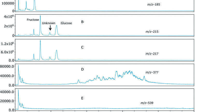 Profiling and Quantification of Mono and Disaccharides and Selected Alditols in Juice, Beer, Wine, and Whiskey Using UHPLC with Mass Detection