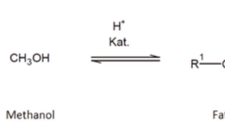 Healthy Fat in Chips and Sausages? A new Method for Extraction, Digestion and Analysis of Fat in Food Samples