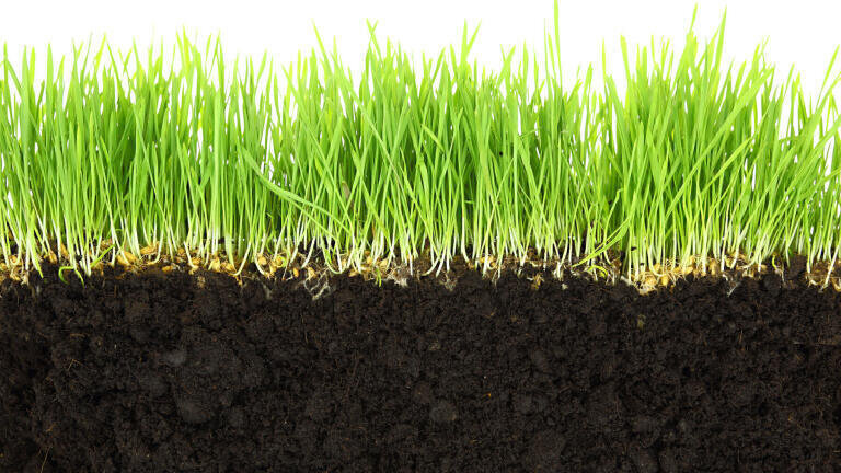 Measuring trace gas emissions from soil: Solving the known unknowns