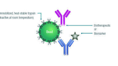 Biopharmaceutical peptide mapping; addressing the challenges with simple fast, and reproducible workflows