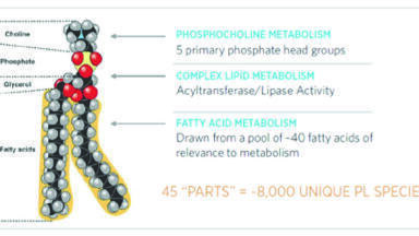 Why Isolate Lipids from Biological Samples? Making Lipidomics by Mass Spectrometry the Standard