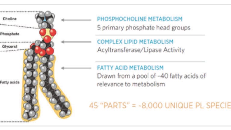 Why Isolate Lipids from Biological Samples? Making Lipidomics by Mass Spectrometry the Standard