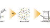 High-performance Anion Exchange Chromatography coupled with Pulsed Amperometric Detection (HPAE-PAD) – An Effective Tool for Analysing Monosaccharides and Sialic Acids in Biosimilars
