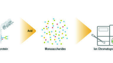 High-performance Anion Exchange Chromatography coupled with Pulsed Amperometric Detection (HPAE-PAD) – An Effective Tool for Analysing Monosaccharides and Sialic Acids in Biosimilars