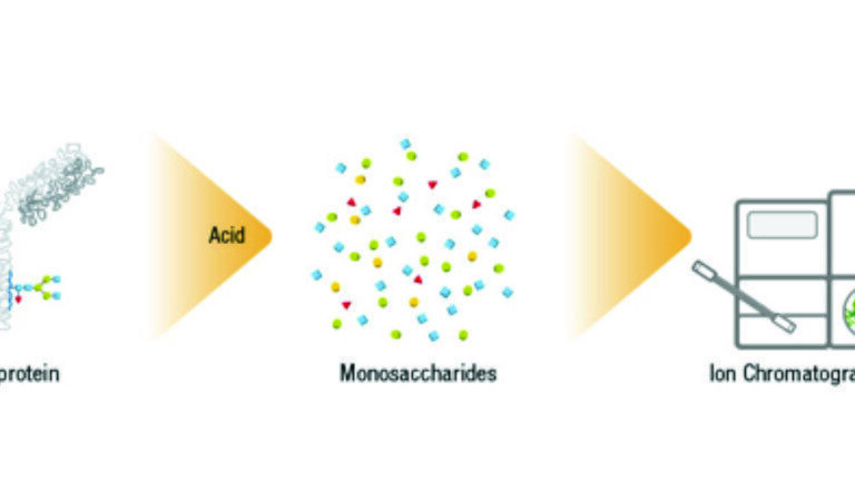 High-performance Anion Exchange Chromatography coupled with Pulsed Amperometric Detection (HPAE-PAD) – An Effective Tool for Analysing Monosaccharides and Sialic Acids in Biosimilars