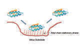 The use of High Performance Liquid Chromatography (HPLC) columns in Biomolecule analysis