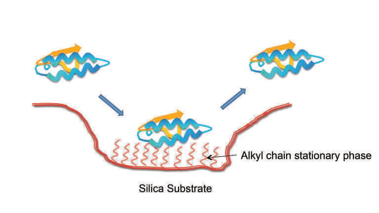 The use of High Performance Liquid Chromatography (HPLC) columns in Biomolecule analysis
