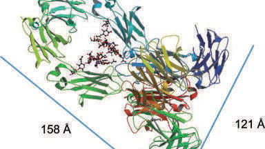 Improved MAb Separations with 1000 Å Superficially Porous Particles