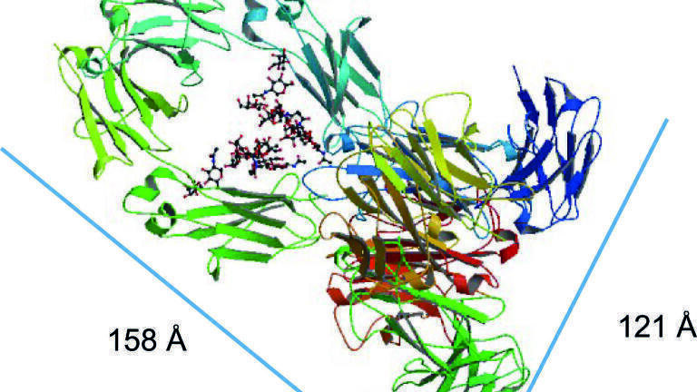 Improved MAb Separations with 1000 Å Superficially Porous Particles