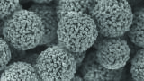 Spheres-on-sphere (SOS) Silica a Real Support for Separation of Large Biomolecules