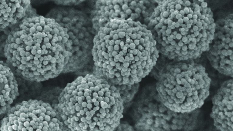 Spheres-on-sphere (SOS) Silica a Real Support for Separation of Large Biomolecules