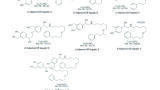 Method Development and Validation of Simultaneous Determination of Related Substances for Salmeterol Xinafoate and Fluticasone Propionate in Dry Powder Inhalers