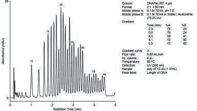 Chromatography for the Analysis of Oligonucleotides