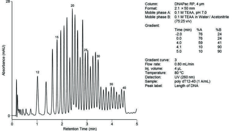 Chromatography for the Analysis of Oligonucleotides