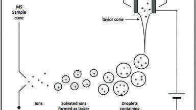 MS Atmospheric Pressure Ionisation Sources: Their Use and Applicability