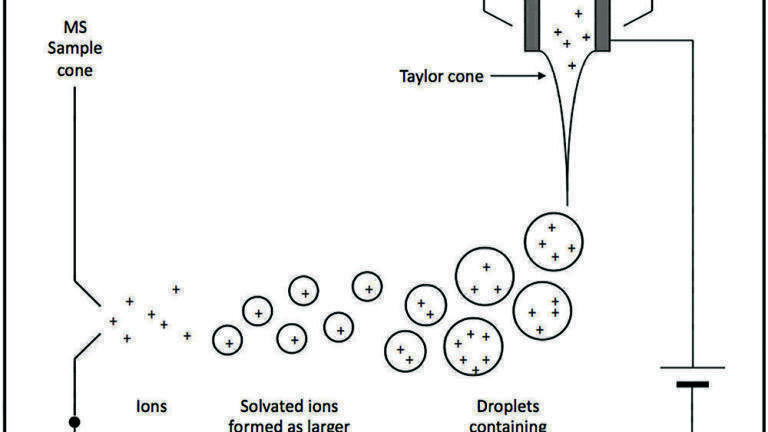 MS Atmospheric Pressure Ionisation Sources: Their Use and Applicability
