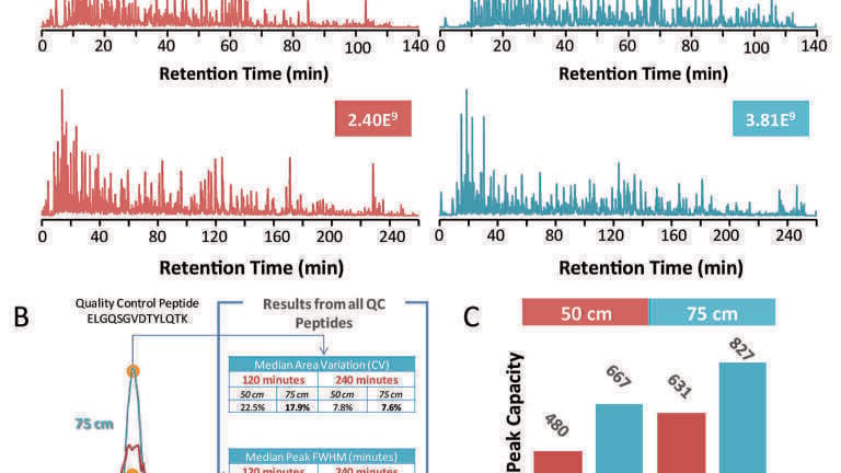 Enhanced Peptide Identification Using Capillary UHPLC and Orbitrap Mass Spectrometry