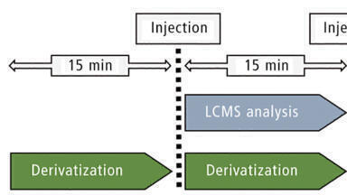 A Time-Efficient Method for Pesticide Analysis in Beer