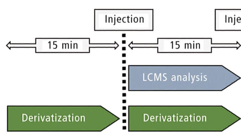 A Time-Efficient Method for Pesticide Analysis in Beer