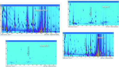 New Investigator Tools for Finding Unique and Common Components in Multiple Samples with Comprehensive Two-Dimensional Chromatography
