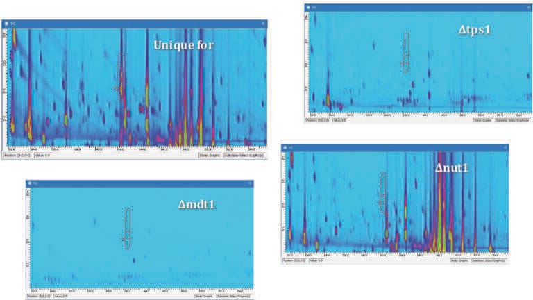 New Investigator Tools for Finding Unique and Common Components in Multiple Samples with Comprehensive Two-Dimensional Chromatography