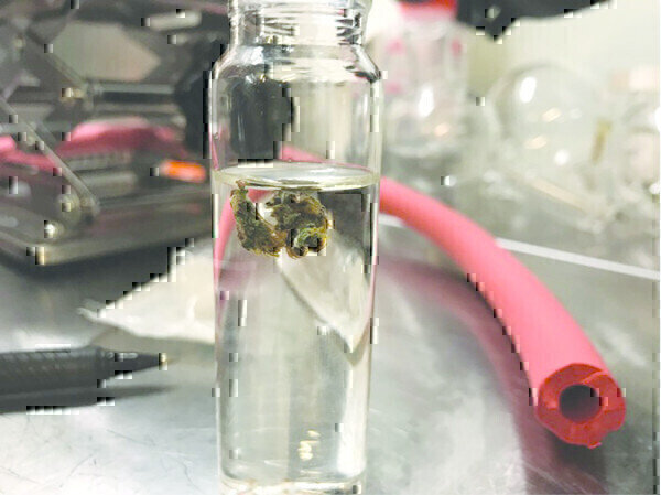 Gas Chromatography A Powerful Tool For Cannabinoid Analysis Feb 20 
