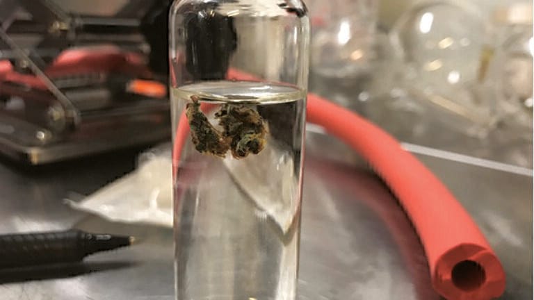 Gas Chromatography: A Powerful Tool for Cannabinoid Analysis 