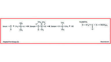 The Use of Derivatising Reagents
