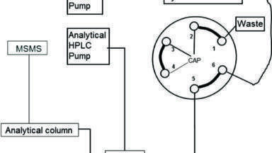 LC/MS/MS Analysis Using On-line Cartridges for the Removal of Phospholipids from Protein Precipitated Biological Fluid Samples