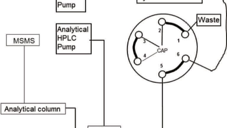 LC/MS/MS Analysis Using On-line Cartridges for the Removal of Phospholipids from Protein Precipitated Biological Fluid Samples