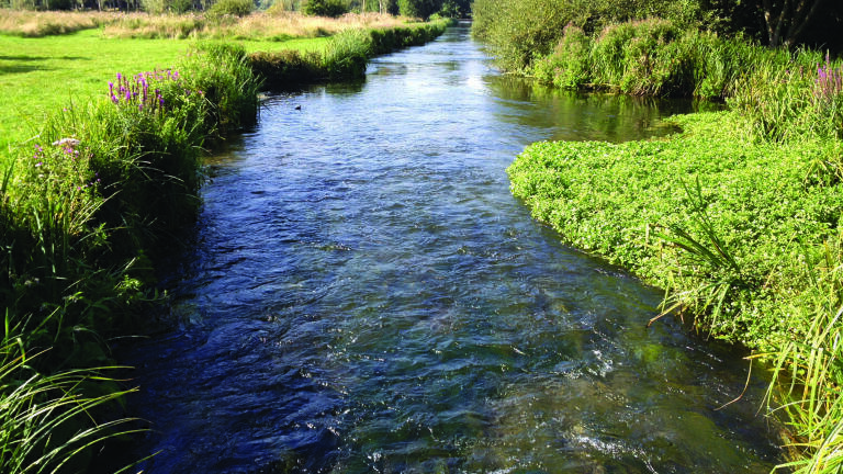 High-resolution monitoring is essential for river conservation