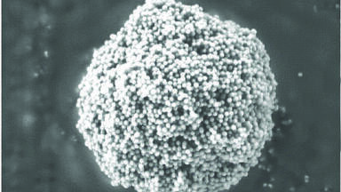 Improved Biomacromolecule Separations Using Superficially Porous Particles with a 1000 Å Pore Diameter
