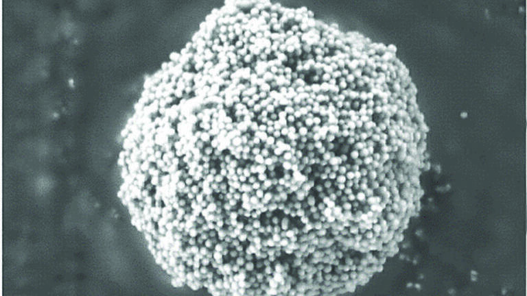 Improved Biomacromolecule Separations Using Superficially Porous Particles with a 1000 Å Pore Diameter