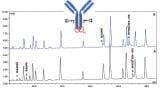 A Deep Characterisation of Monoclonal Antibodies with Micro-pillar Array Columns