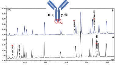 A Deep Characterisation of Monoclonal Antibodies with Micro-pillar Array Columns