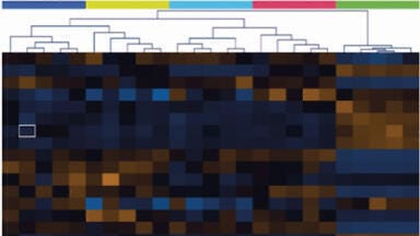 New Platform-Independent Data Analysis Software with Build-in Chemometric Tools for the Processing and Statistical Analysis of Comprehensive Two-Dimensional Gas Chromatography Data Sets